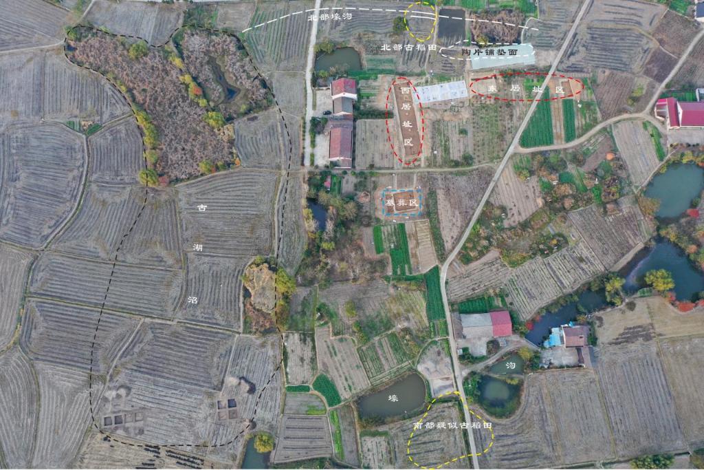 先民8000多年前就在种水稻冰球突破游戏网站实锤！这里的(图2)